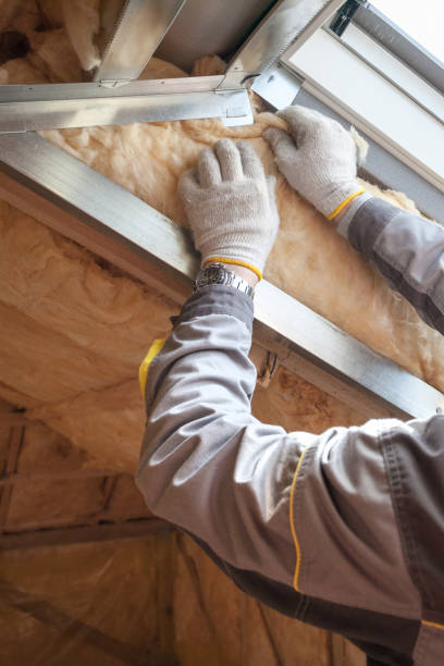 Professional Insulation Contractor in Jonesville, LA