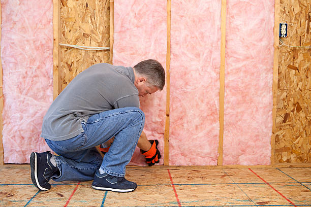 Best Commercial Insulation in Jonesville, LA
