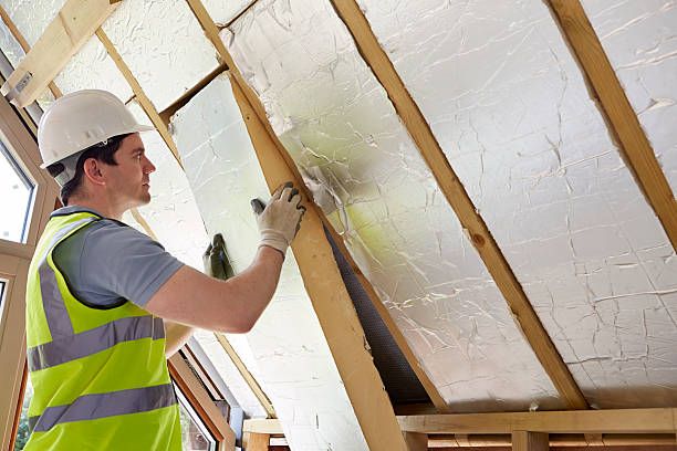 Best DIY Insulation Kits and Guidance in Jonesville, LA
