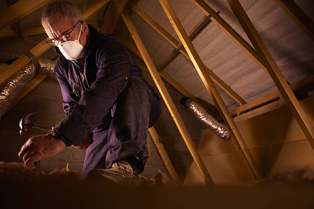 Best Insulation for Specific Applications in Jonesville, LA